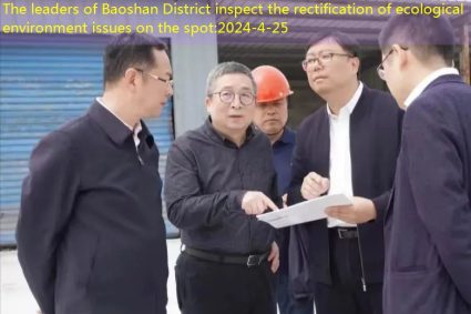 Strict the bottom line of the red line of the ecological environment!The leaders of Baoshan District inspect the rectification of ecological environment issues on the spot